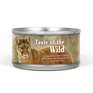 Canyon River Feline