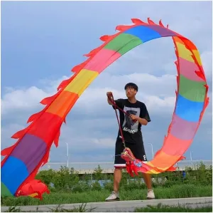 Chinese Dragon Dance 3D Dragon Ribbon Streamer Chinese Dragon Dance Stage Performance Chinese New Year Dragon Dance Fitness Dragon Dance Interesting