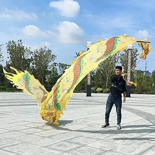Fitness Toys Dragon Ribbon Streamer,Dragon Silk Flowy,3D Colorful Dragon Silk Flowy Spinning & Shaking for Ribbon Toy for Children Kids Beginner Outdoor Park(10m)