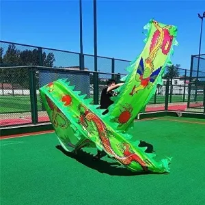 Fitness toys Dragon Ribbon Streamer,Dragon Silk Flowy,3D Colorful Dragon Silk Flowy Spinning & Shaking Poi 8m /10m Dragon Dance Ribbon Streamer Silk Flowy Spinning & Shaking PoiParents Outdoor Park(Gr