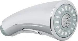 Grohe 46875NC0 Pull Out Spray Head