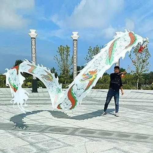 PuLAif Dragon Ribbon Streamer,Dragon Silk Flowy,3D Dragon Poi Chinese Dragon Dance Ribbon Streamer for Outdoor Spring Outing, Fiberglass Handsticks   Travel Bag(12m)