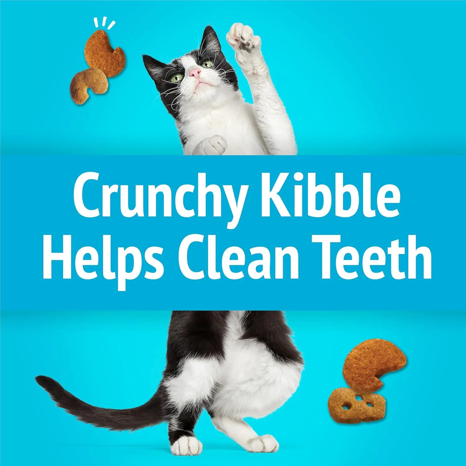 Purina Friskies Cat Treats, Party Mix Lobster & Mac 'N' Cheese Flavors - (Pack of 10) 2.1 oz. Pouches